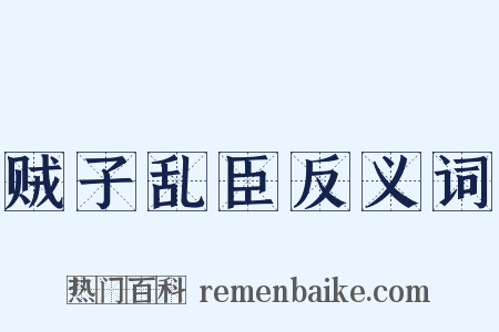 贼子乱臣反义词是什么意思的图片